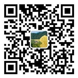 彩宝贝app